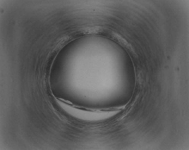 X0000073430209200608251624