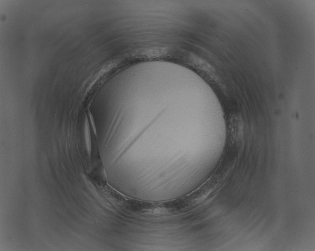 X0000073430212200608251624