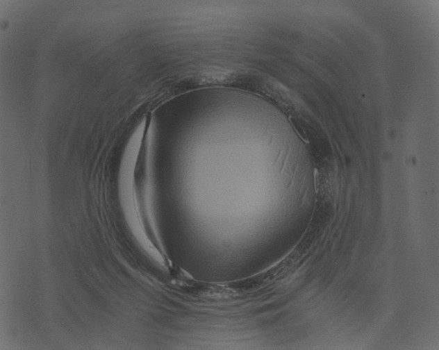 X0000073430215200608251624