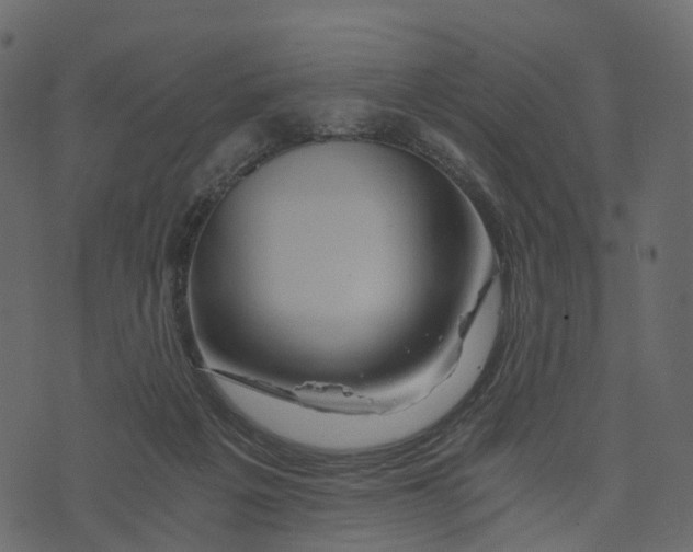X0000073430217200608251624
