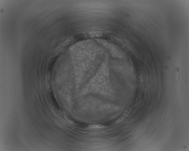 X0000073430218200608251624