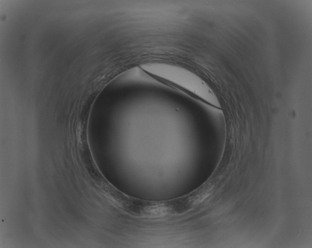 X0000073430219200608251624