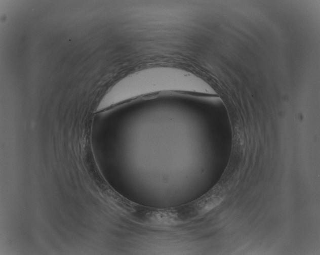 X0000073430223200608251623