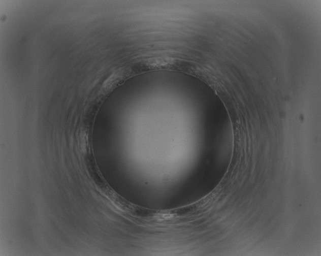 X0000073430227200608251623