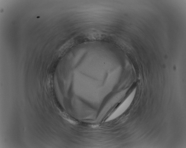 X0000073430233200608251623