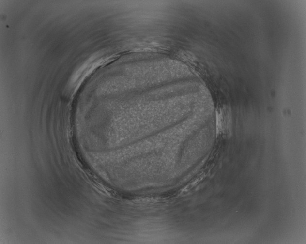 X0000073430291200608251622