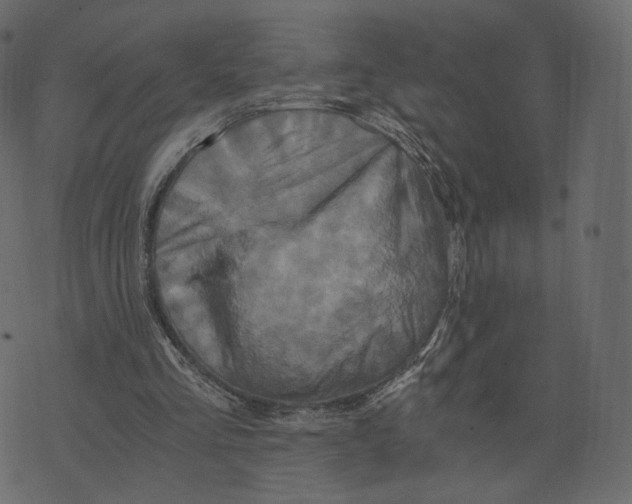 X0000073430293200608251622