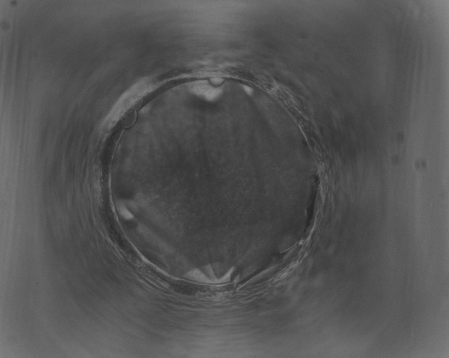 X0000073430295200608251622