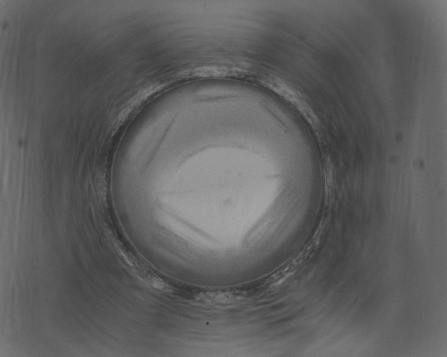 X0000073430297200608251622