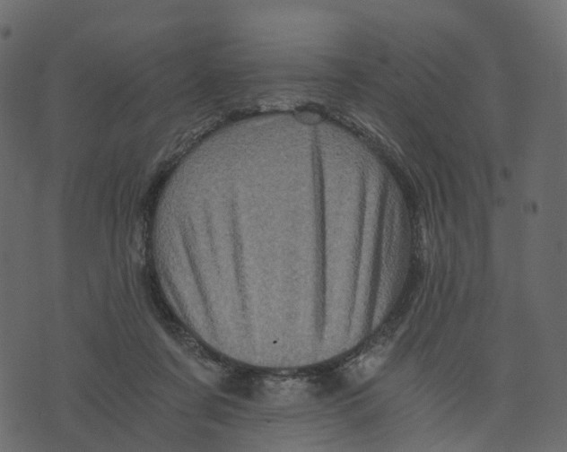 X0000073430311200608251622