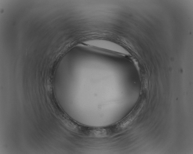 X0000073430317200608251622