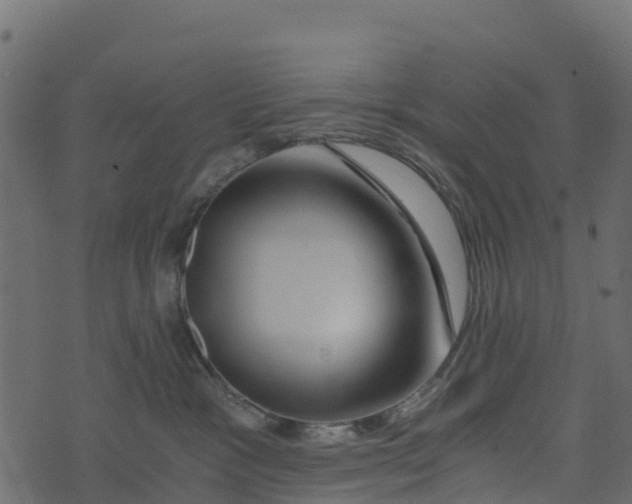 X0000073430333200608251622