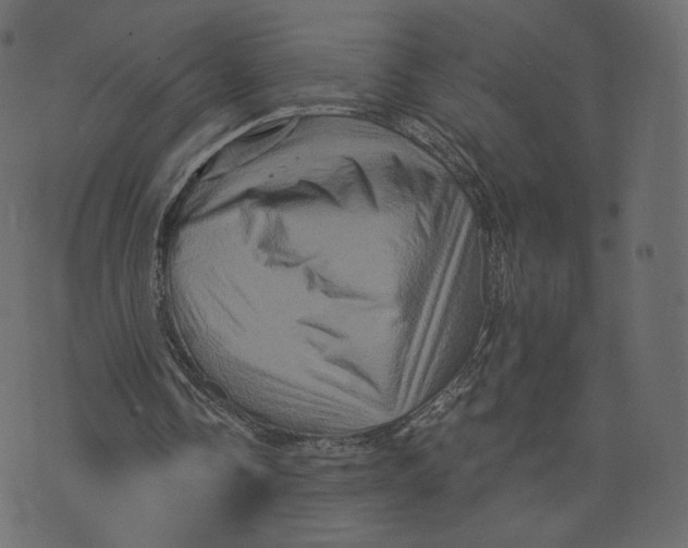 X0000073430338200608251621