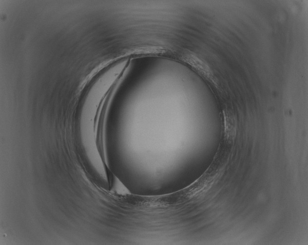 X0000073430348200608251621