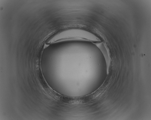 X0000073430356200608251621