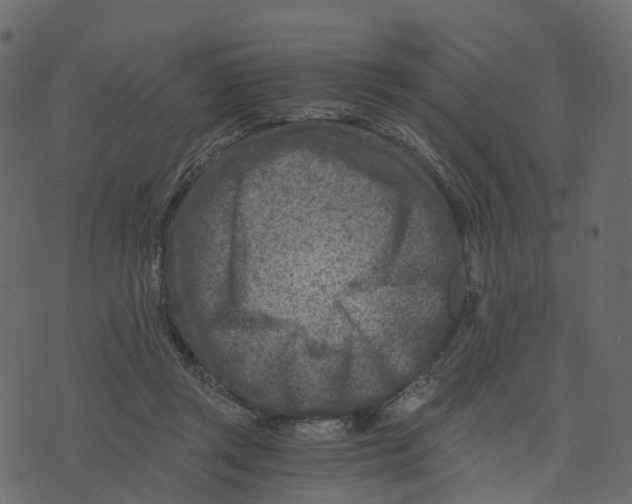 X0000073430357200608251621
