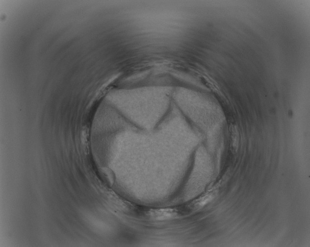 X0000073430378200608251621