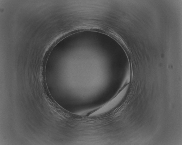 X0000073430387200608251621