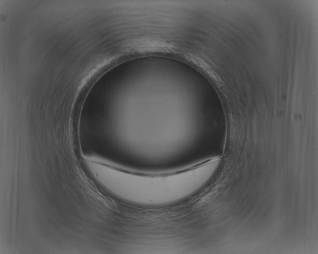 X0000073430391200608251621
