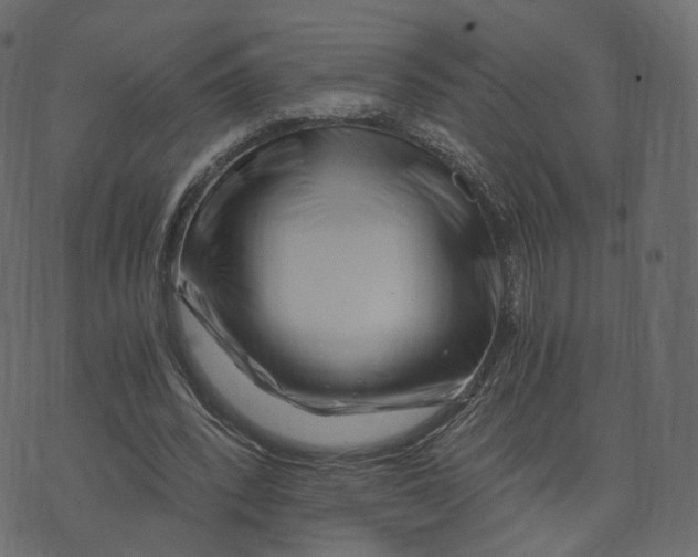 X0000073430392200608251621