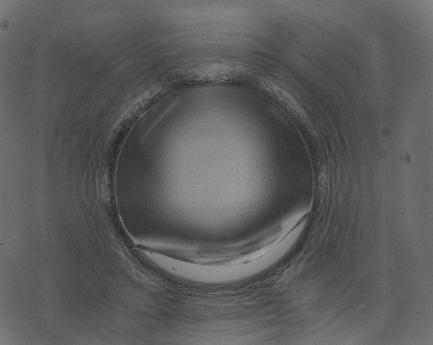 X0000073430403200608251620