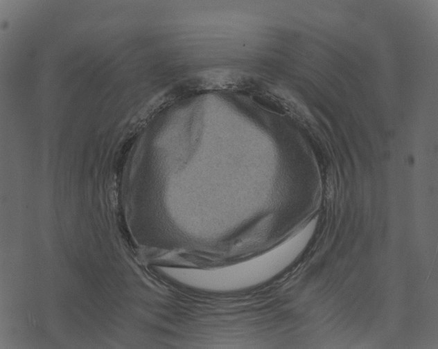 X0000073430413200608251620