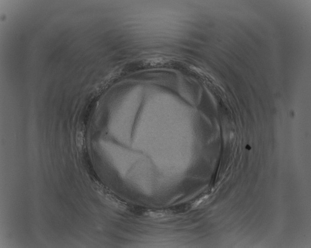 X0000073430417200608251620