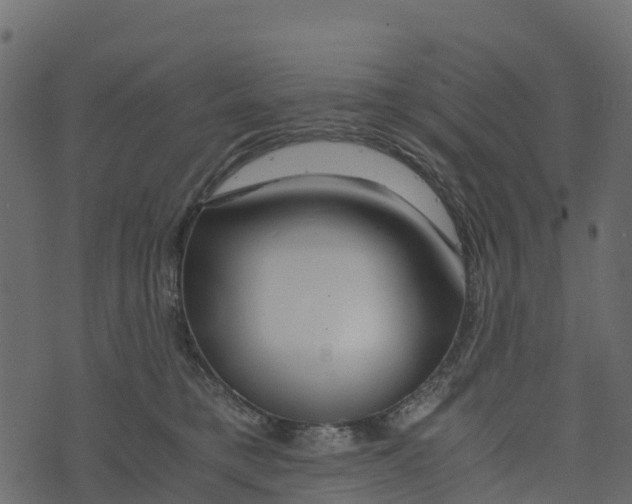 X0000073430421200608251620