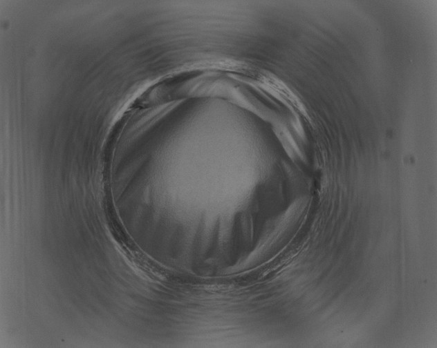 X0000073430436200608251619