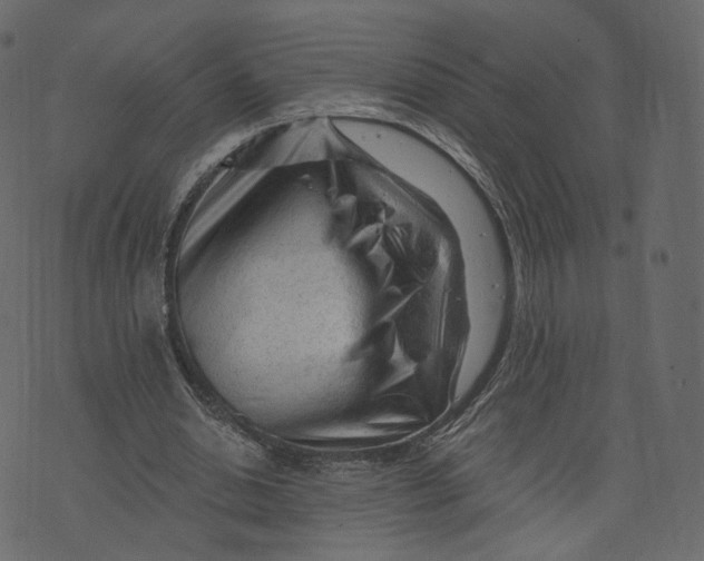 X0000073430438200608251619