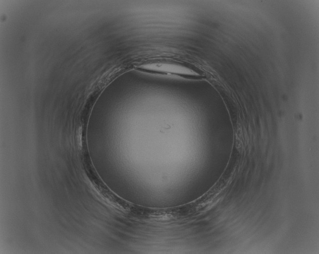 X0000073430454200608251620