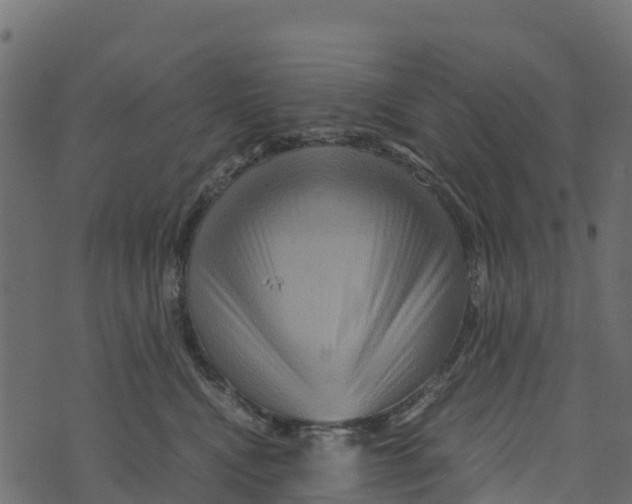 X0000073430472200608251620