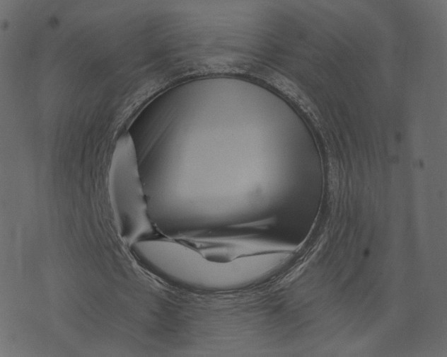 X0000073430481200608251619