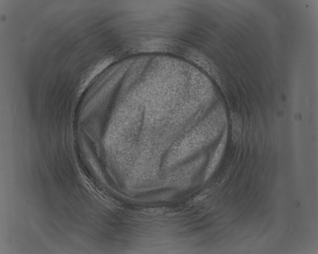 X0000073430482200608251619