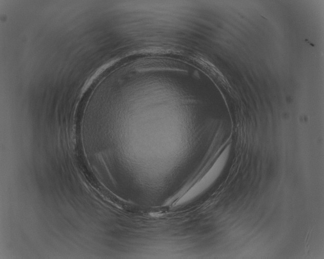 X0000073430484200608251619