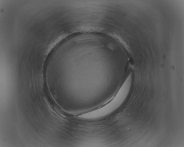 X0000073430488200608251619