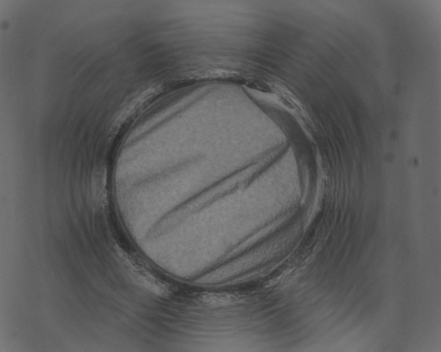 X0000073430490200608251619