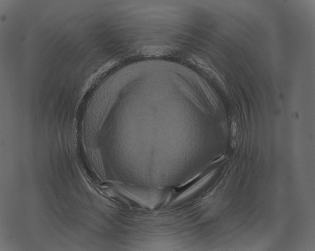 X0000073430492200608251619