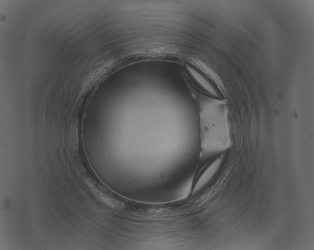 X0000073430493200608251619