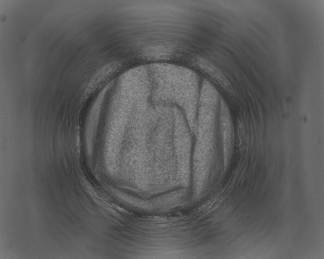 X0000073430494200608251619