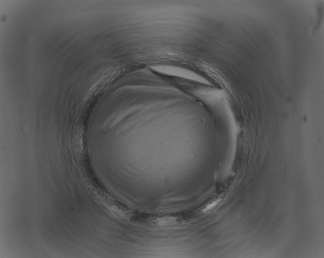 X0000073430501200608251619