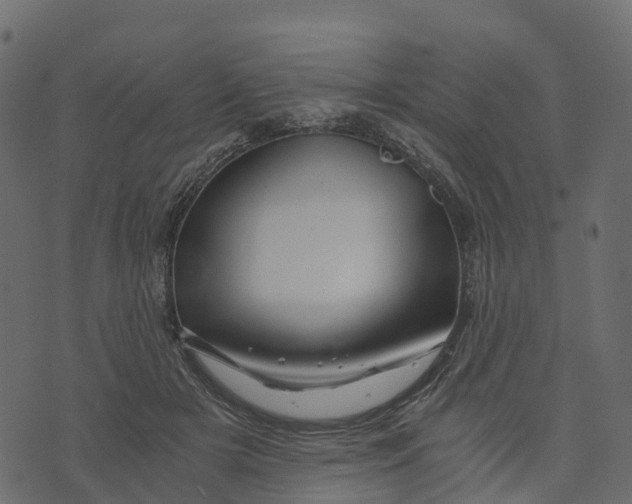 X0000073430505200608251619