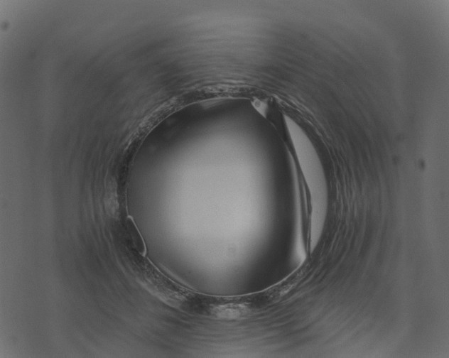X0000073430508200608251619