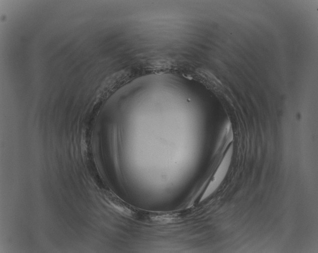 X0000073430516200608251619