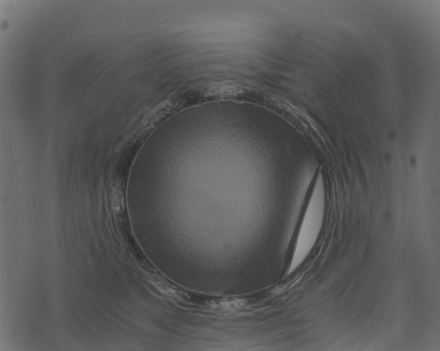 X0000073430517200608251618