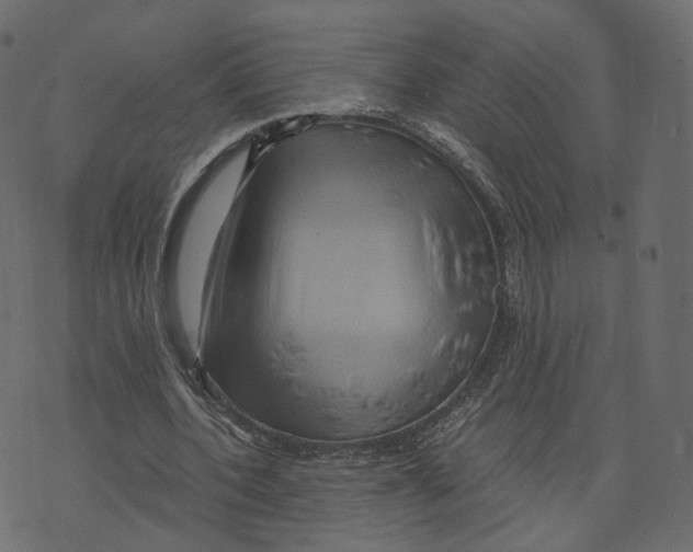 X0000073430532200608251618