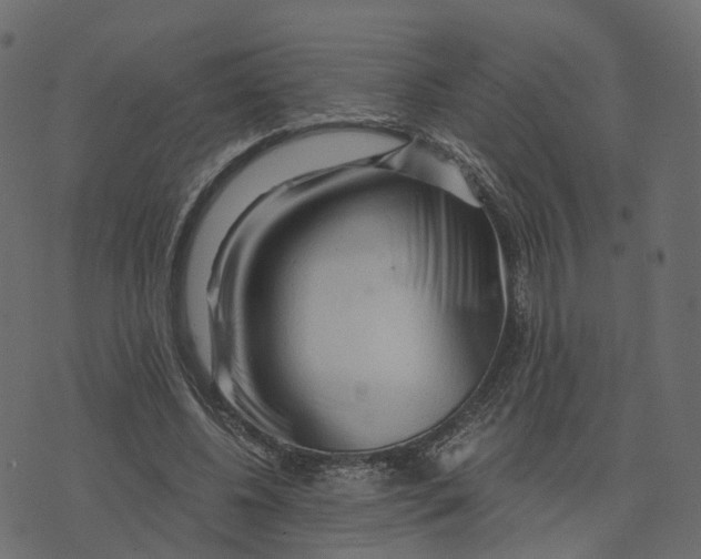 X0000073430540200608251618