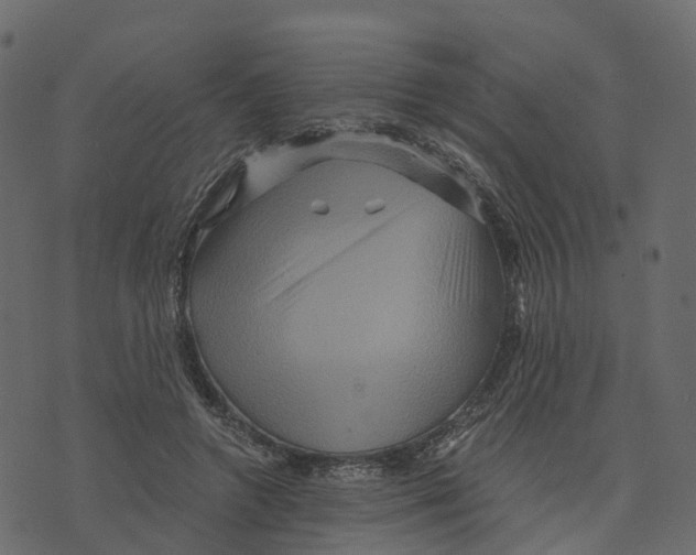 X0000073430546200608251618