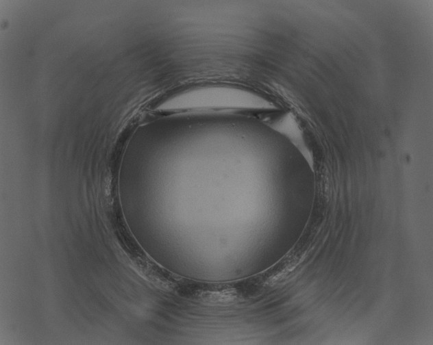 X0000073430548200608251618