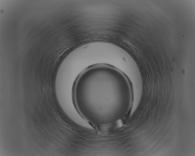 X0000073430556200608251618
